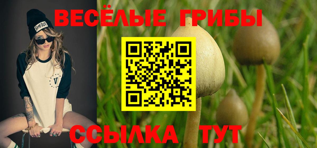 Псилоцибиновые грибы GOLDEN TEACHER  Псилоцибиновые грибы Psilocybine cubensis  Вход с VPN  Артёмовский 