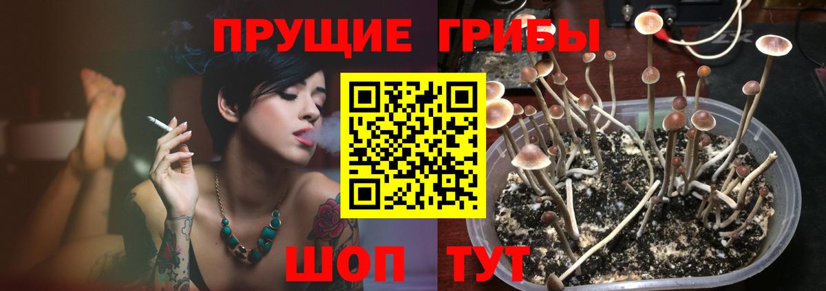 Галлюциногенные грибы прущие грибы Артёмовский